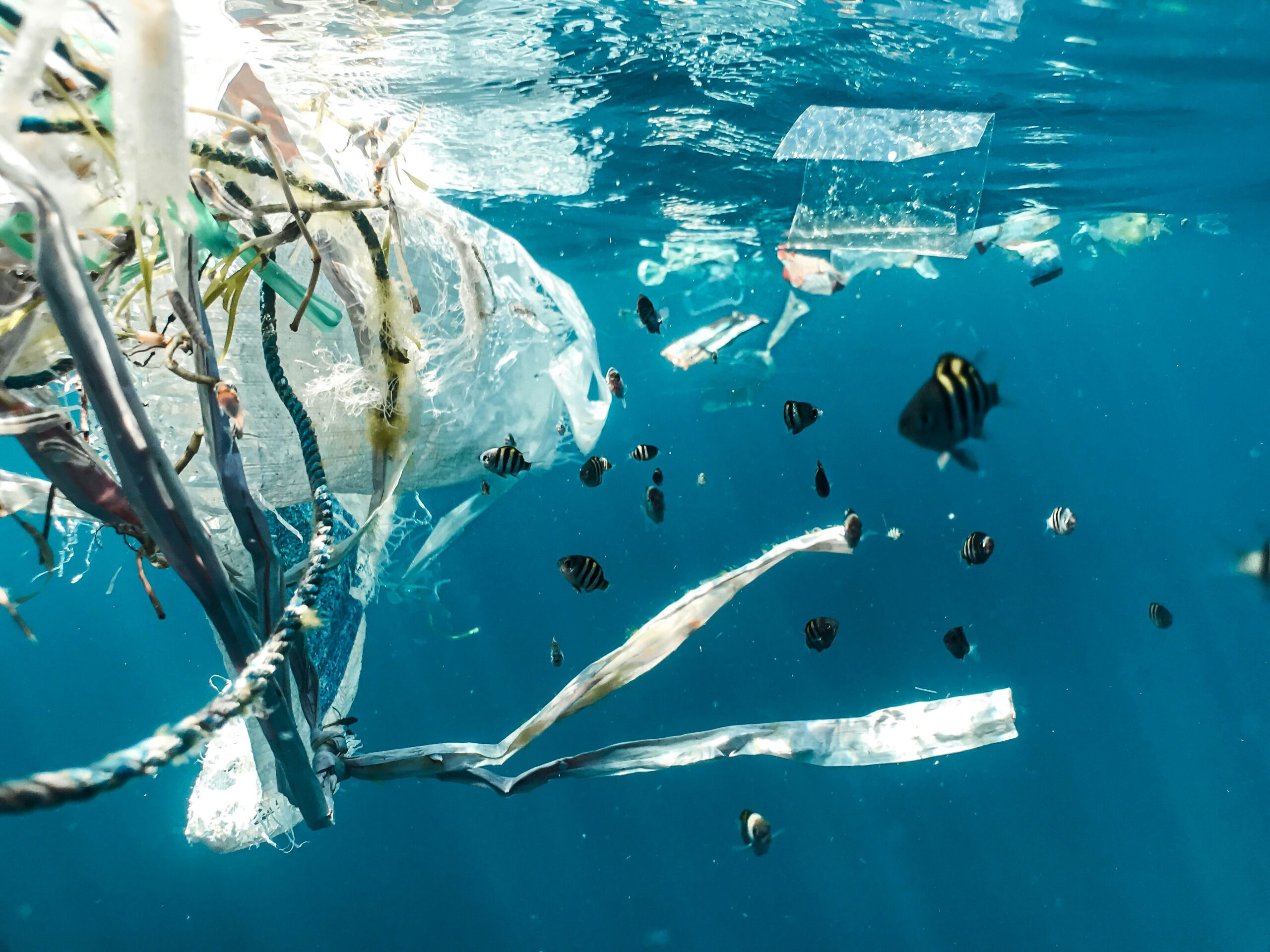 You are currently viewing Recycled Polyester vs. Virgin Polyester: Why It Matters for Activewear